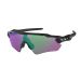 Oakley Radar EV Path Sunglasses OO9208