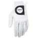 Titleist Players Golf Glove